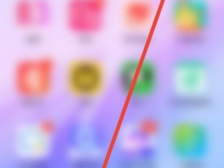 美篇怎么查看美篇花瓣数量？美篇查看美篇花瓣数量教程